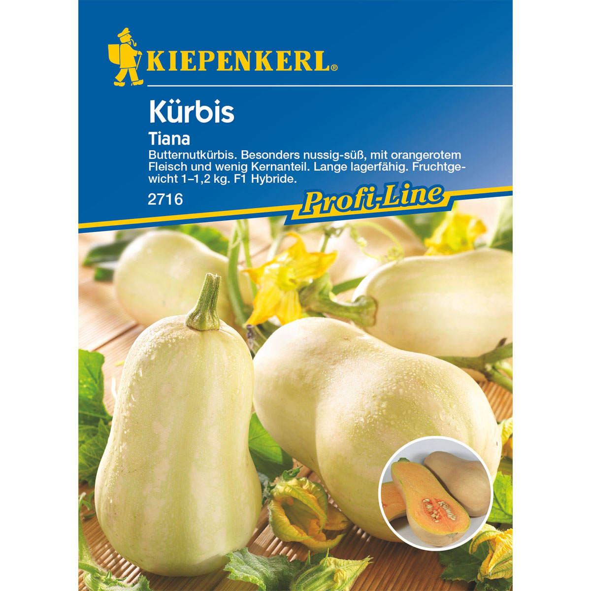 Kiepenkerl Kürbis Tiana