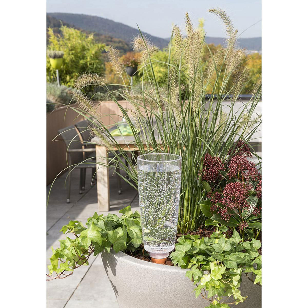 Scheurich Bewaesserungsglas Copa transparent 9 x 18 cm Bild 2