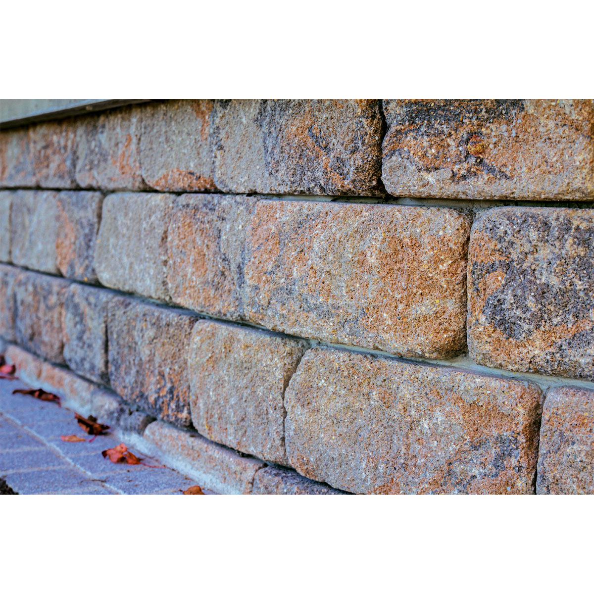 Mauerstein Vero muschelkalk 30-20 x 20 x 14 cm Bild 2