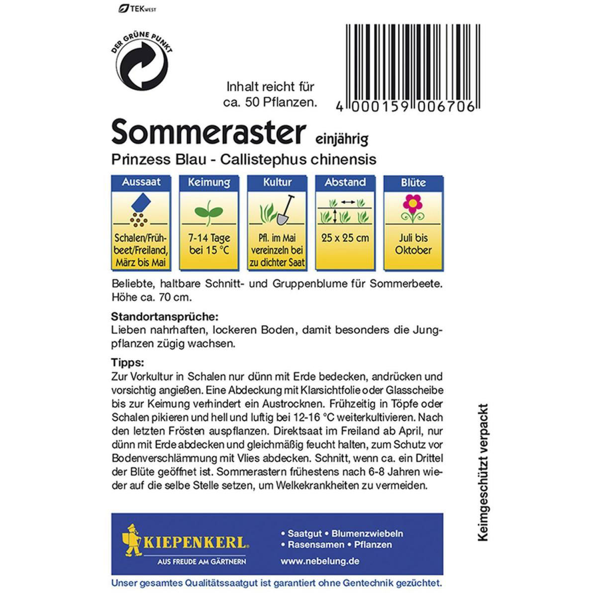 Kiepenkerl Prinzeß-Aster Callistephus blau Bild 2