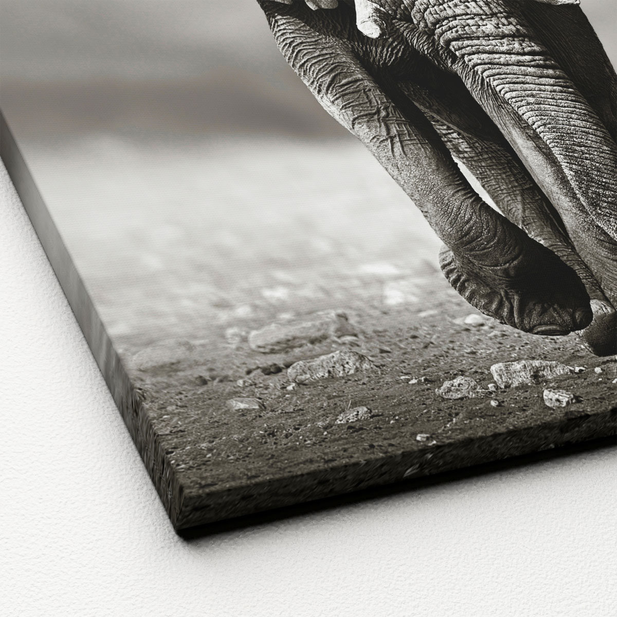 Kunstleinwand AN828N5 40 x 40 Bild 2