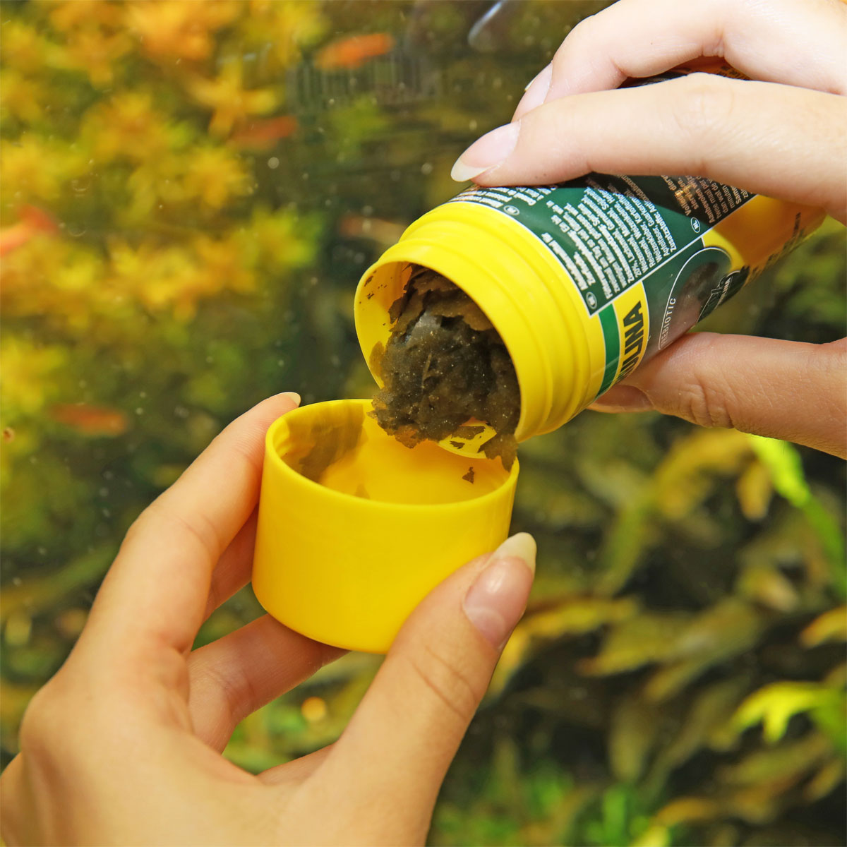 JBL  PRONOVO SPIRULINA FLAKES M 100ml Bild 5