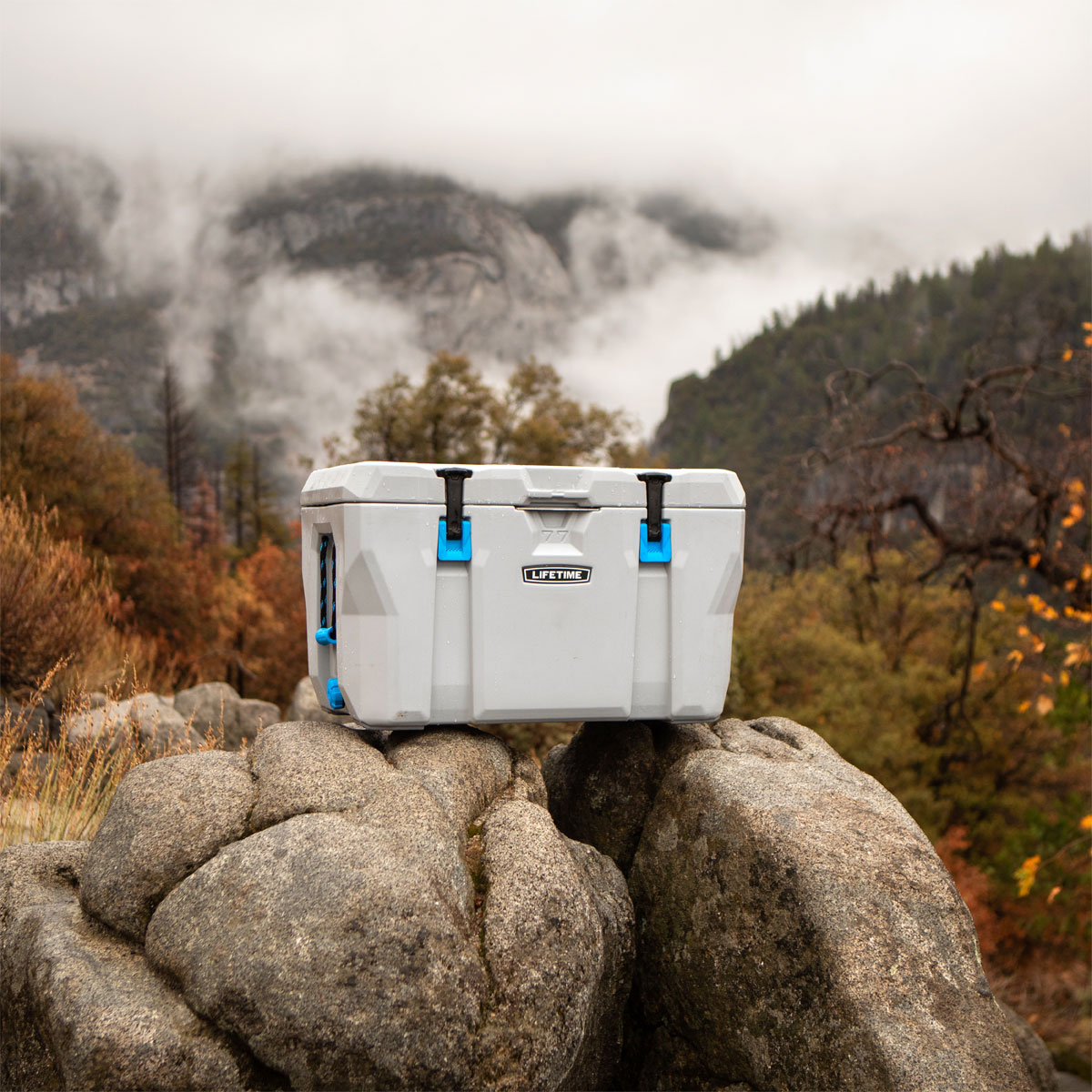 Lifetime Kühlbox Premium 73 L 47x76x47cm Grau Bild 6