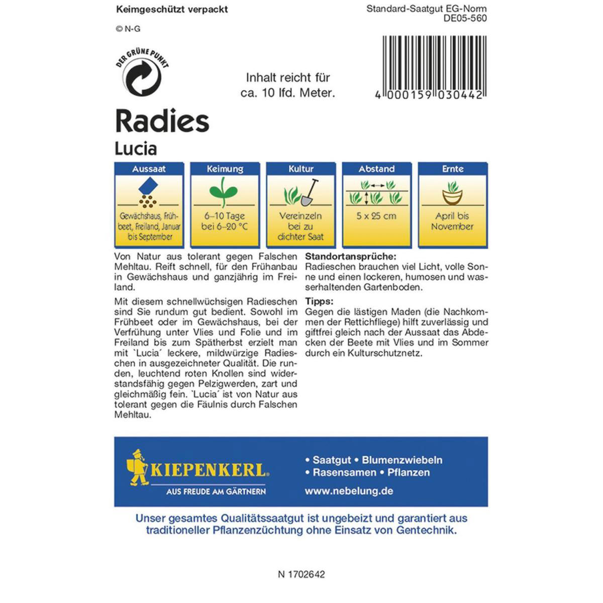 Kiepenkerl Radieschen Lucia F 1 Profi-Line Bild 2