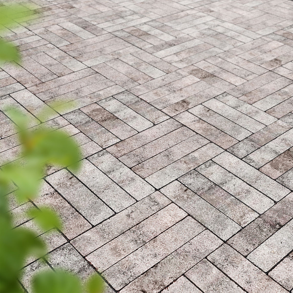 Diephaus  Riemchen Pflaster Narrow greige 24 x 6 x 7 cm Bild 2