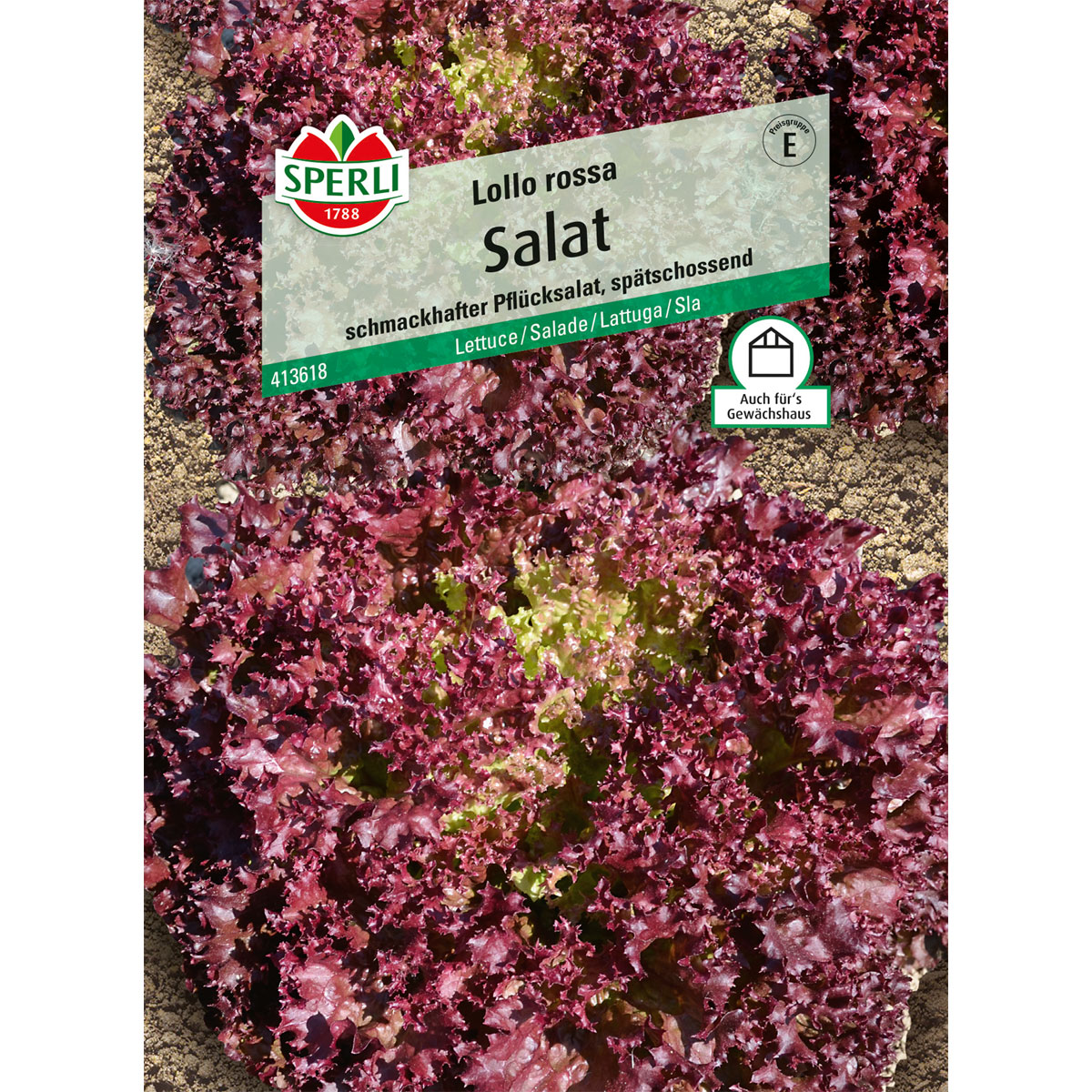 Sperli Pflücksalat Lollo rossa Bild 1