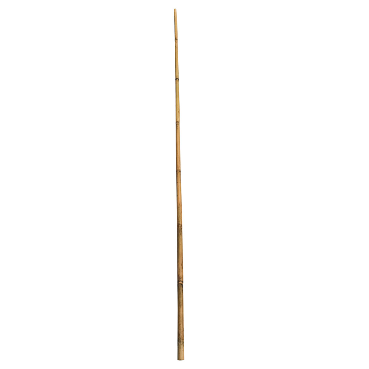Wingart Bambusstab 240 cm