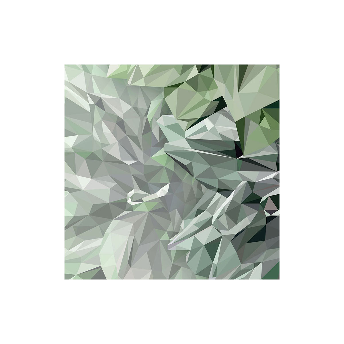 Komar  Vlies Fototapete Emerald Flowers 300x280 cm Bild 7