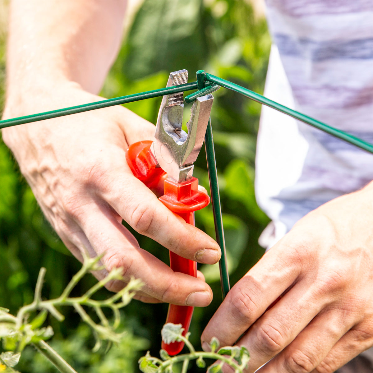 Windhager  Tomaten-Turm 35x35x118 cm 4-teilig Bild 3