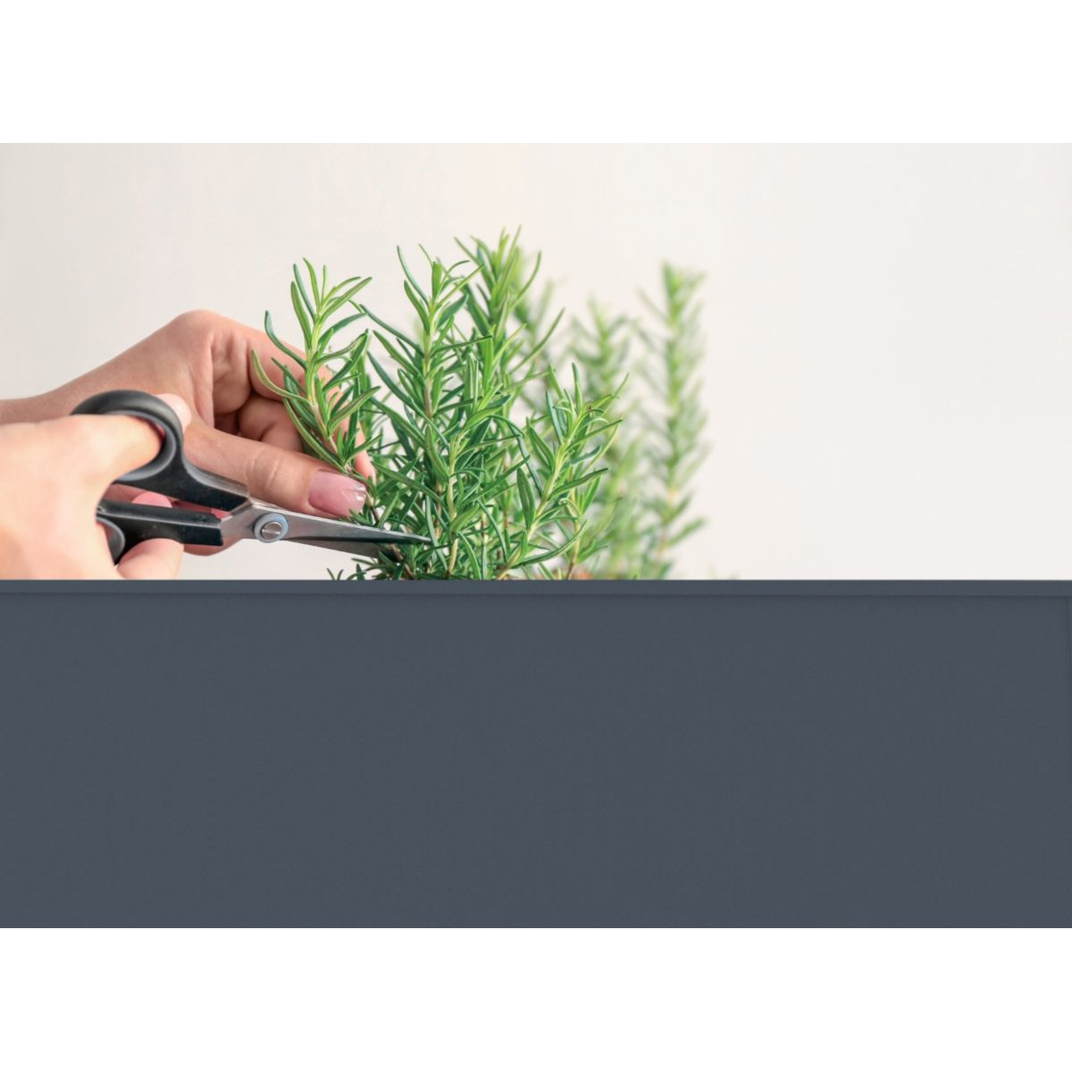 Herstera Garden Hochbeet Urban 40x100x84cm Bild 4