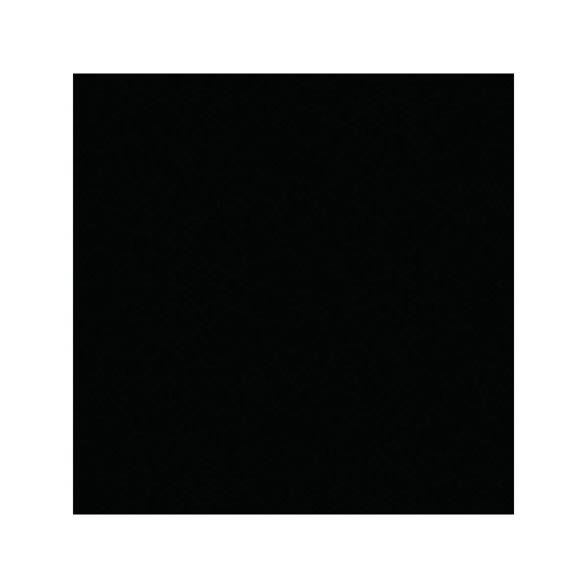 Vincent 2in1 Buntlack Tiefschwarz seidenmatt 750 ml Bild 2