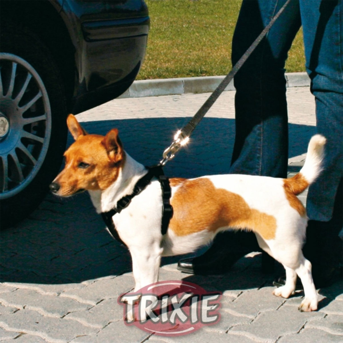 Trixie Ersatzkurzführer schwarz 45-70cm/30mm 