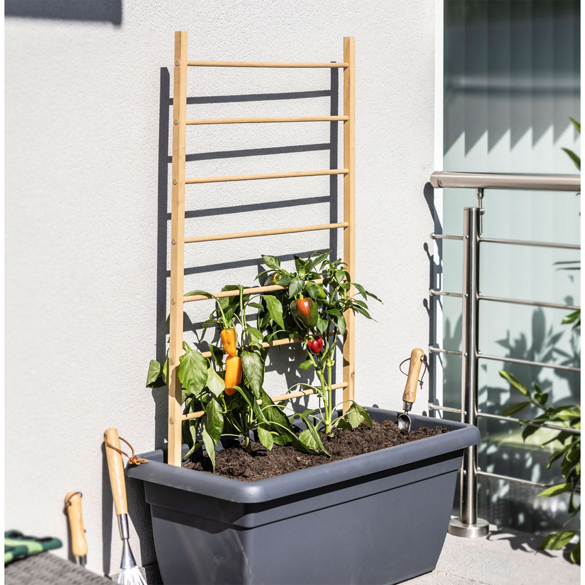 Windhager  Holz-Rankhilfe Leiter 80x170 cm