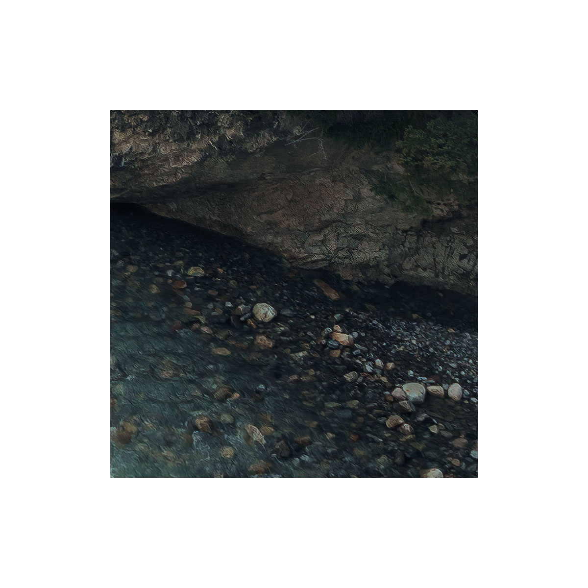 Komar  Vlies Fototapete Wild Canada 450x280 cm Bild 3