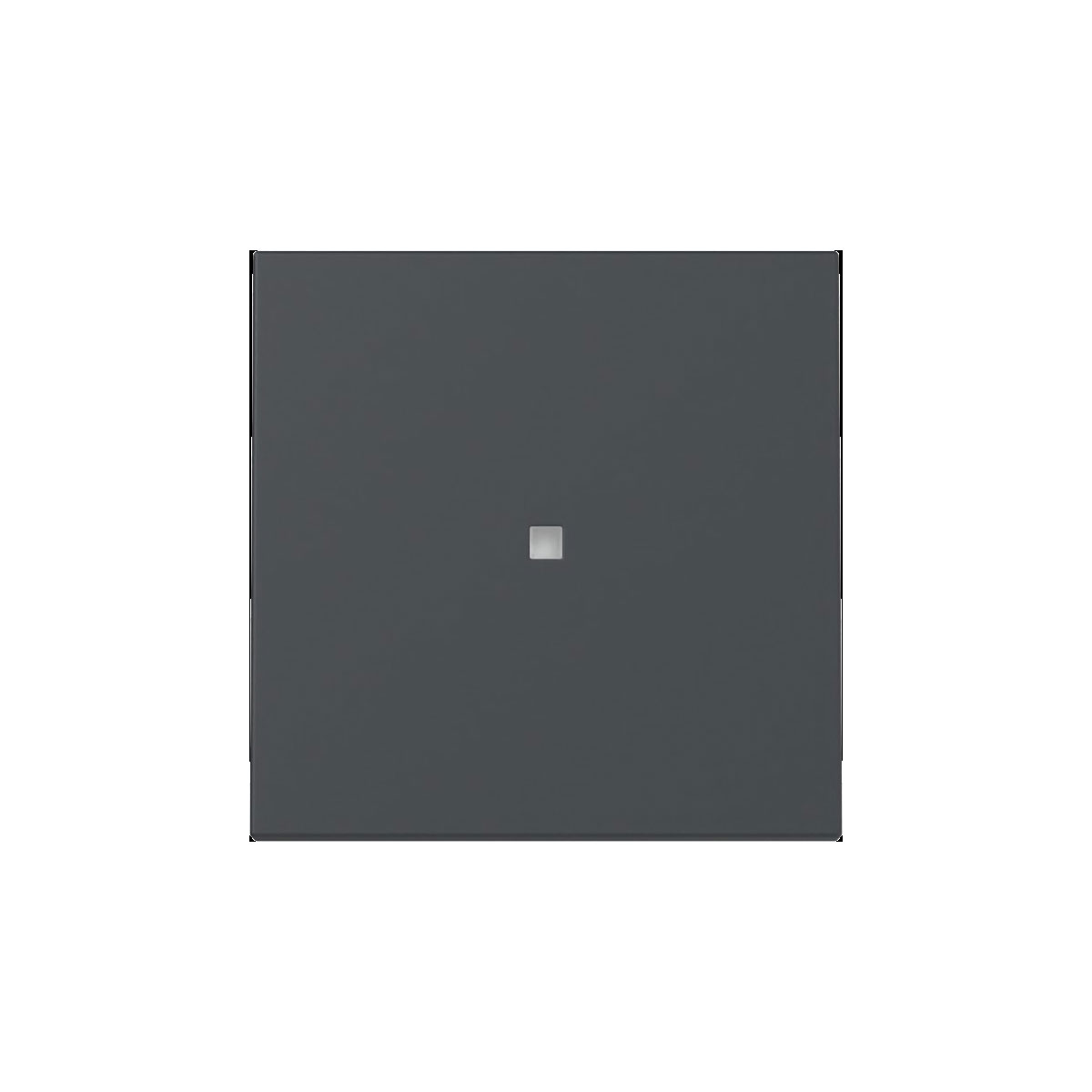 Gira  Wippe Kontrollf. System 55 Anthrazit