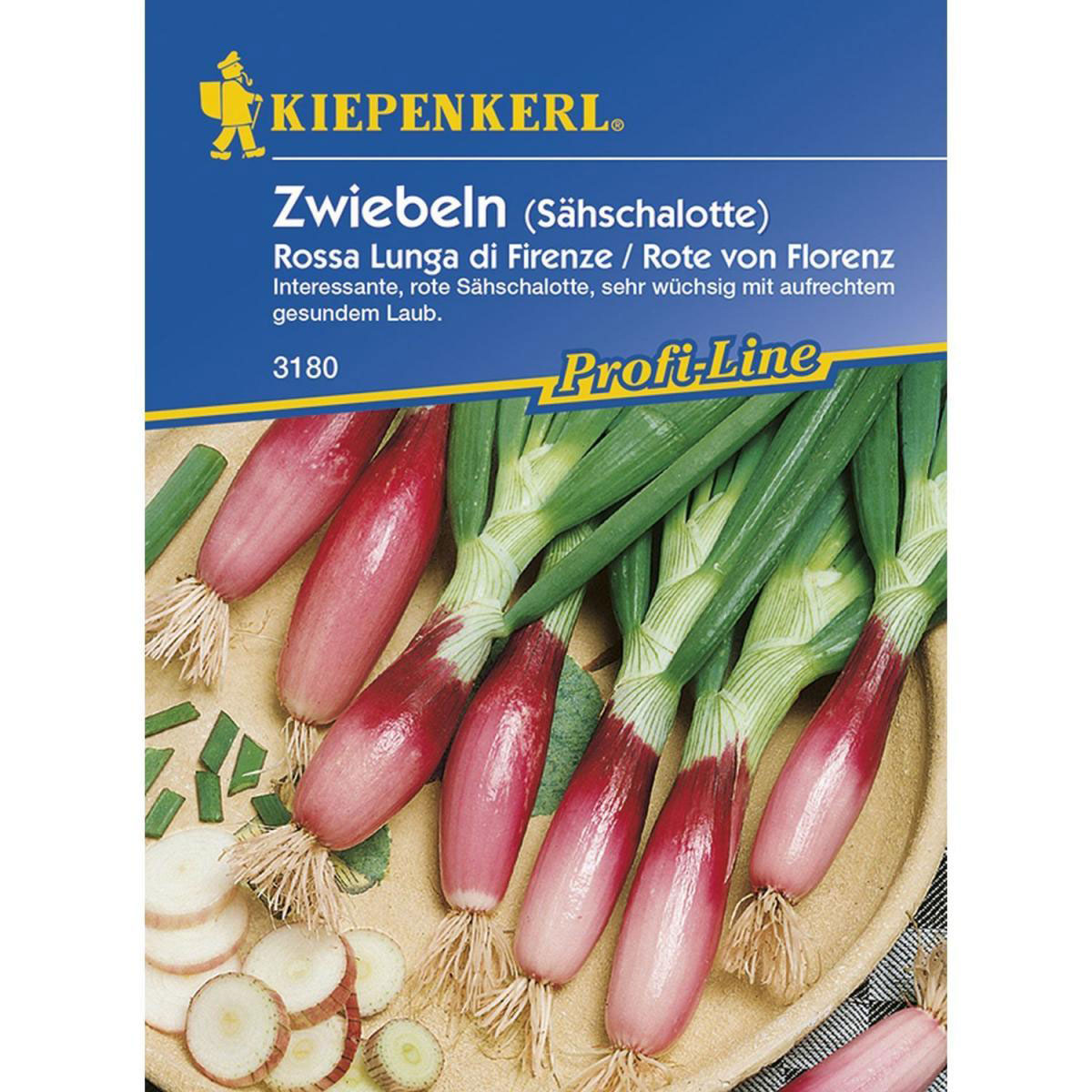 Kiepenkerl Lauchzwiebeln Rossa Lunga di Firenze Profi-Line Bild 1