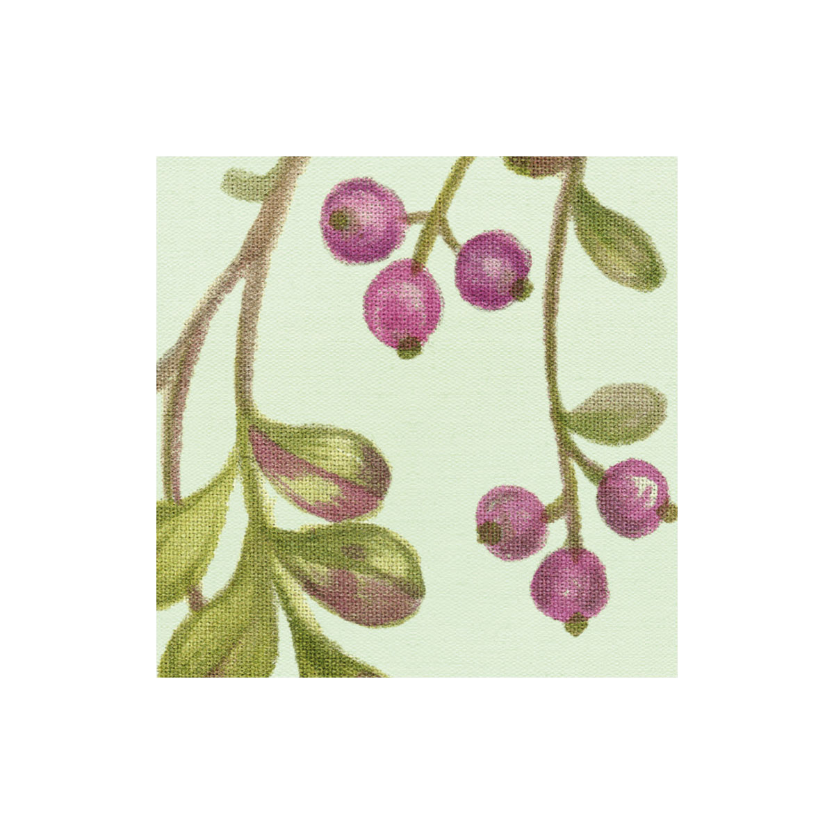 Komar  Vlies Fototapete Oiseaux du Paradis 350x250 cm Bild 6